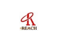 REACH最新标准 REACH报告图1
